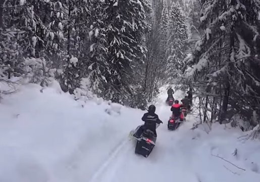 Снегоход Катание на снегоходах, отдых на праздники взять в аренду, заказать, цены, услуги - Новошахтинск