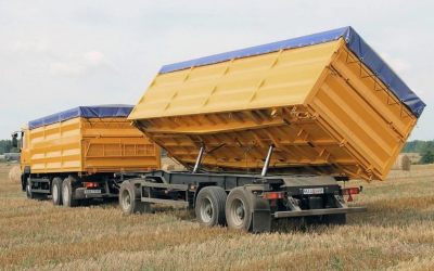 Услуги зерновозов для перевозки зерна - Ростов-на-Дону, цены, предложения специалистов